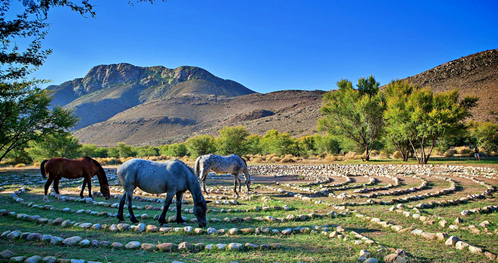 A Place to Reflect: Labyrinth Stays