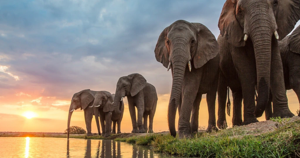 LekkeSlaap se flinkdink-vasvra oor SA