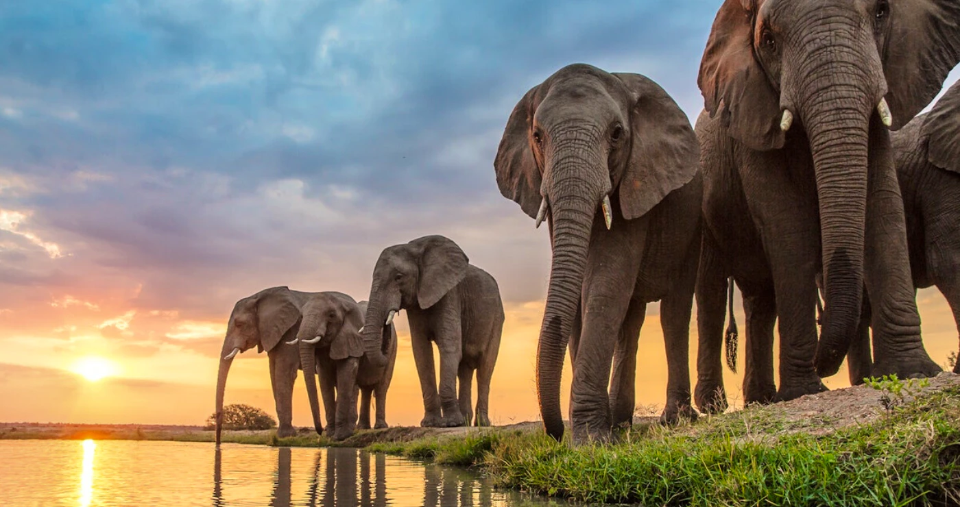 LekkeSlaap se flinkdink-vasvra oor SA