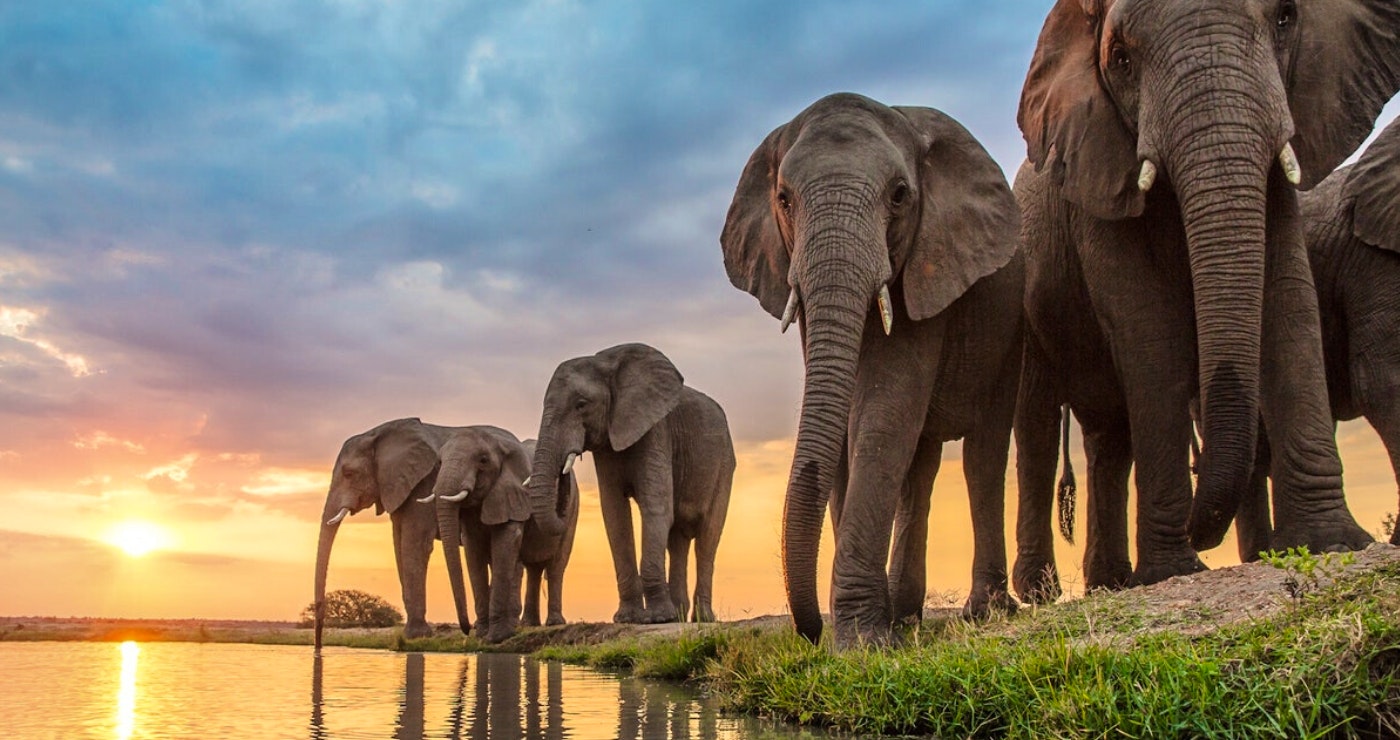 LekkeSlaap se flinkdink-vasvra oor SA