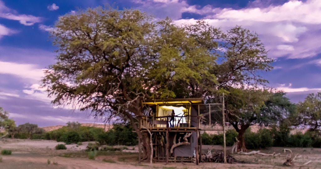 Climb into these tree houses
