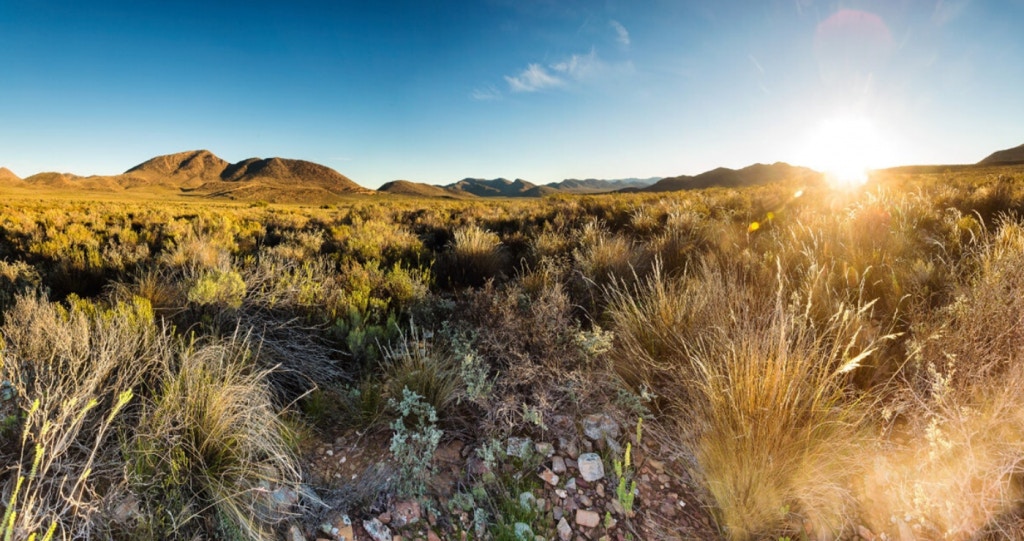 Vind uit waar jy ná die inperking moet vakansie hou