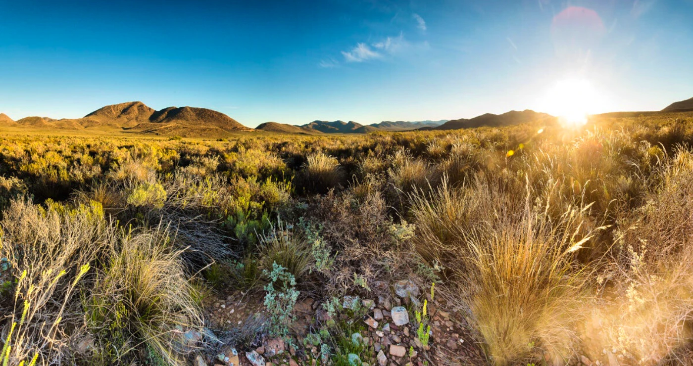 Vind uit waar jy ná die inperking moet vakansie hou