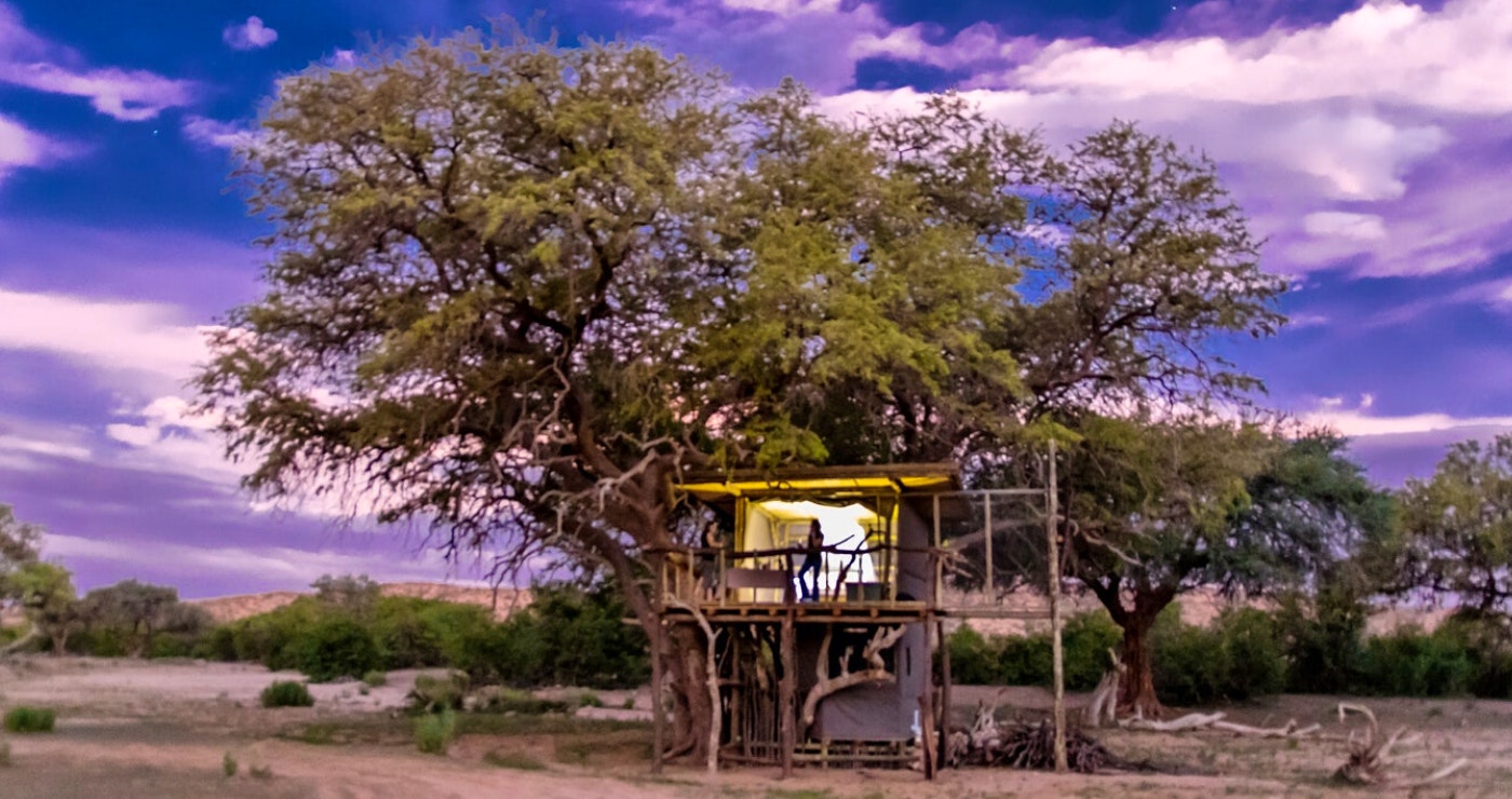 Climb into these tree houses