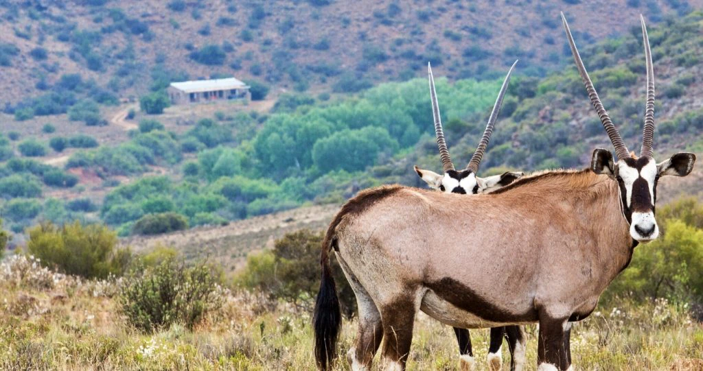10 lekke feite oor SA vir die gemakstoelreisiger