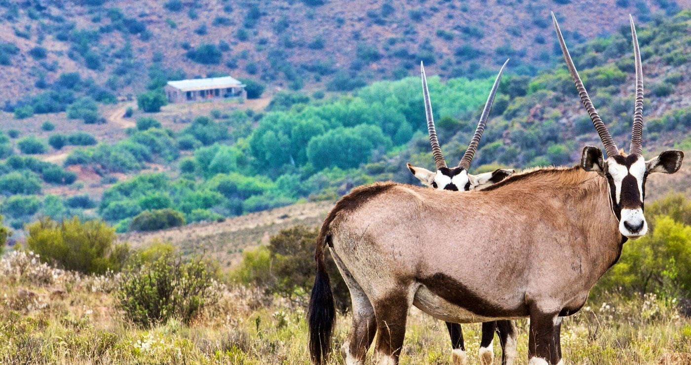 10 lekke feite oor SA vir die gemakstoelreisiger