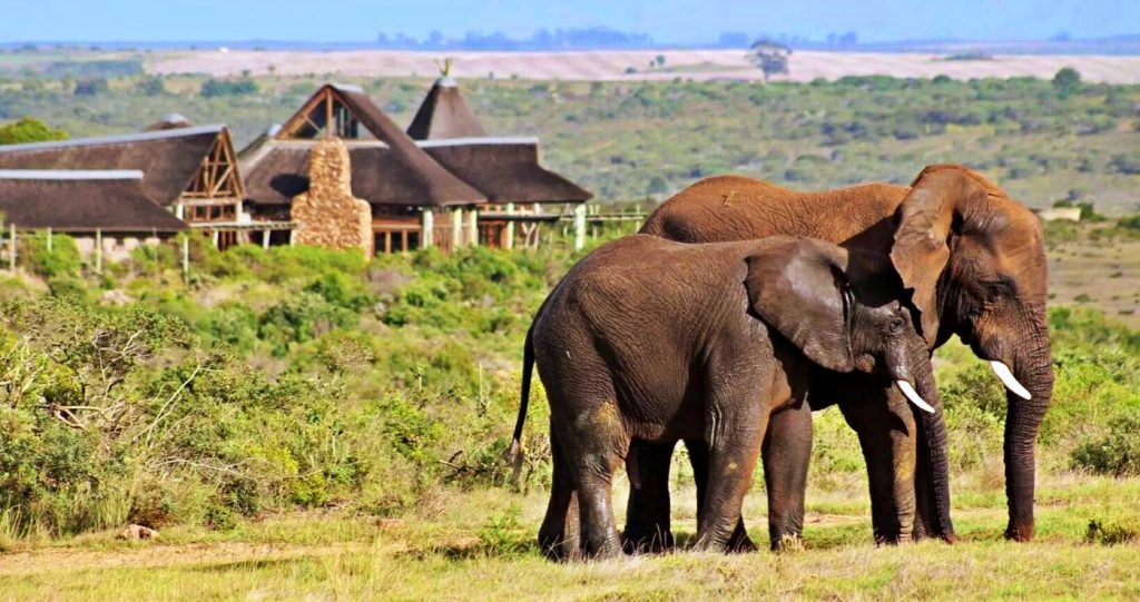 ’n Wildrit by die Garden Route Game Lodge