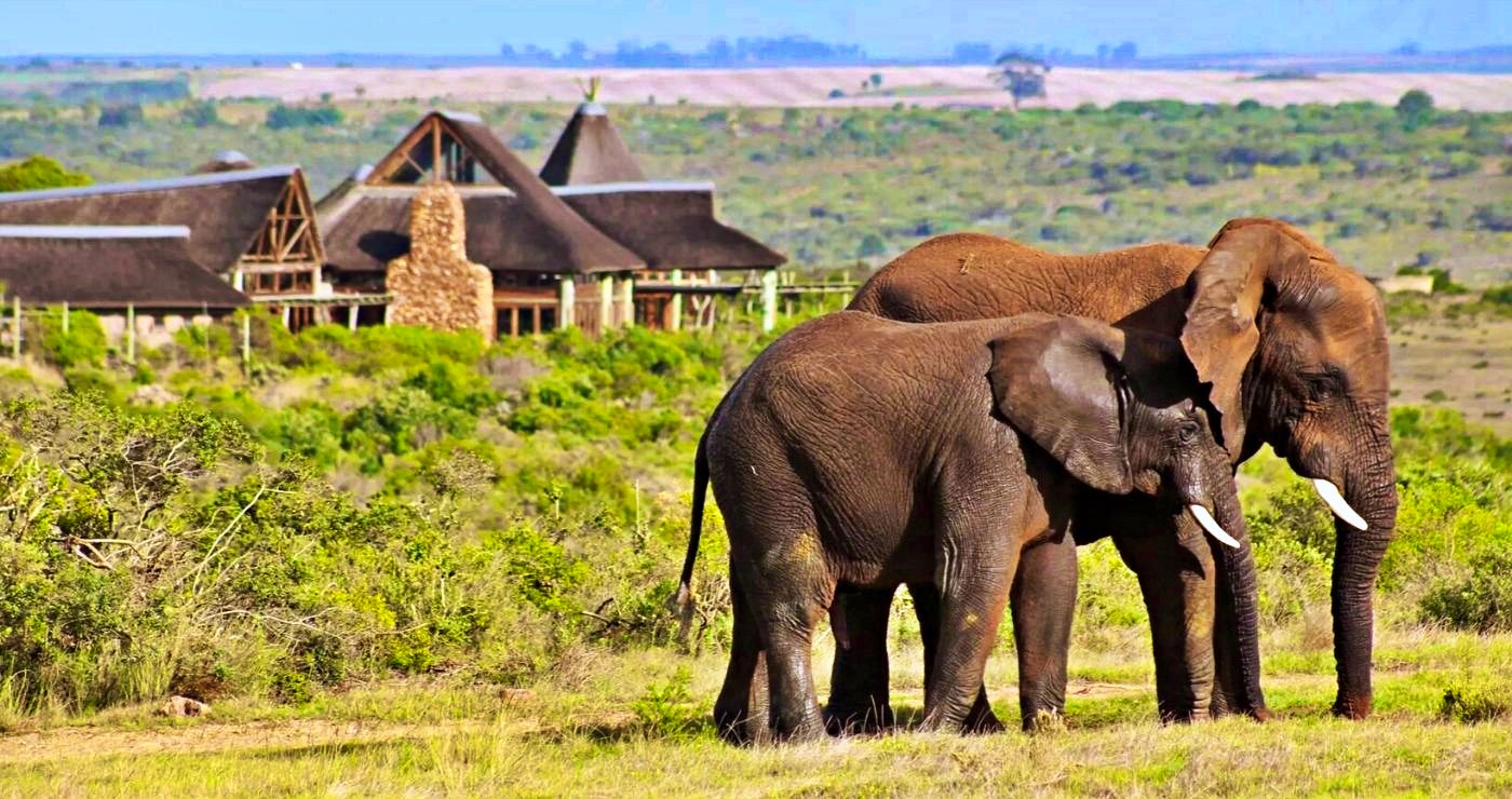 ’n Wildrit by die Garden Route Game Lodge