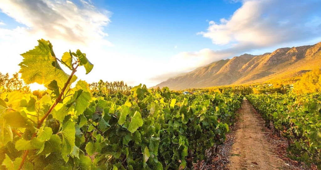 Dorpie vir dorpie: ’n Roete 62-roadtrip roep