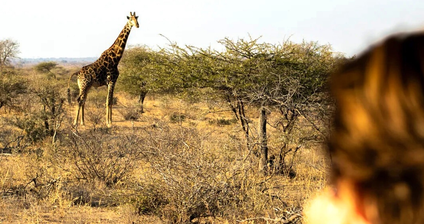9 Kuierplekke naby die Krugerwildtuin se hekke