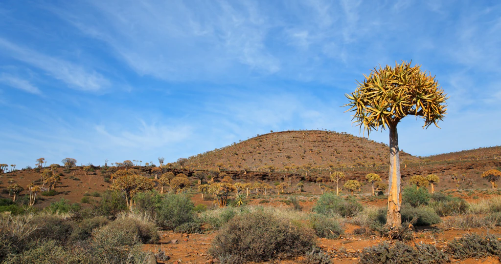 9 redes waarom jy die Noord-Kaap moet besoek