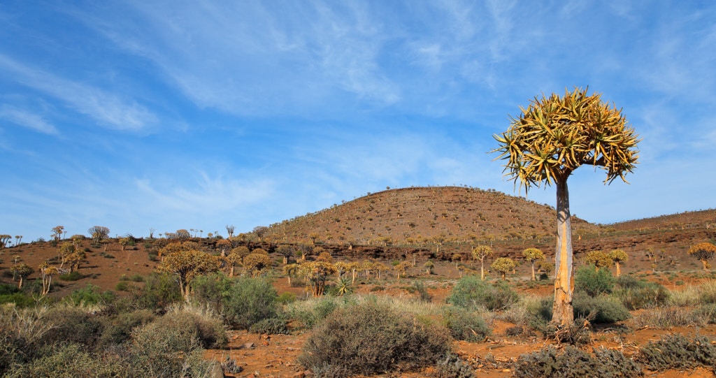 9 redes waarom jy die Noord-Kaap moet besoek