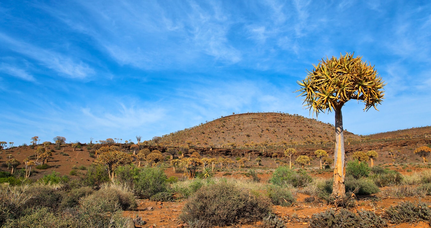 9 redes waarom jy die Noord-Kaap moet besoek