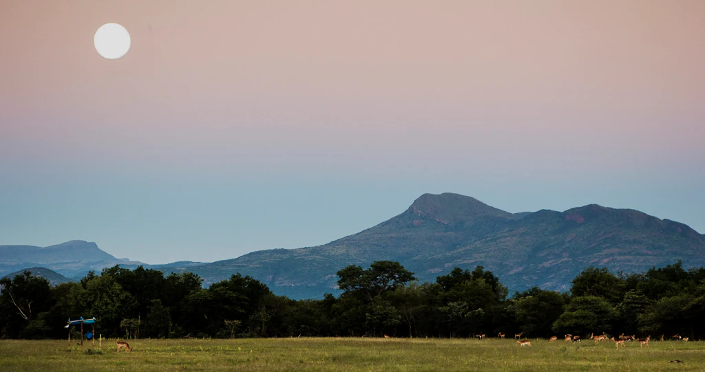 Afgeleë Bosveldwegbreke vir groepe