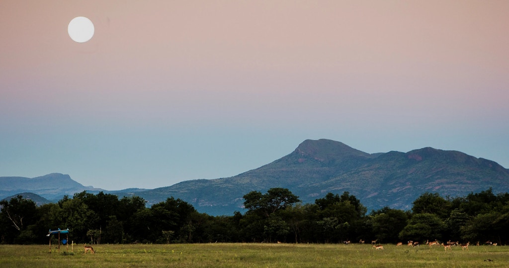 Afgeleë Bosveldwegbreke vir groepe