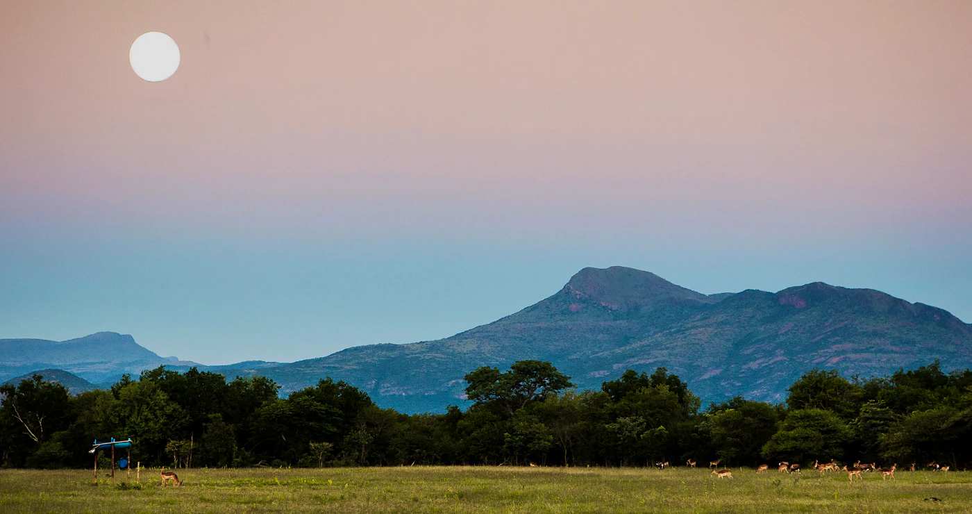 Afgeleë Bosveldwegbreke vir groepe