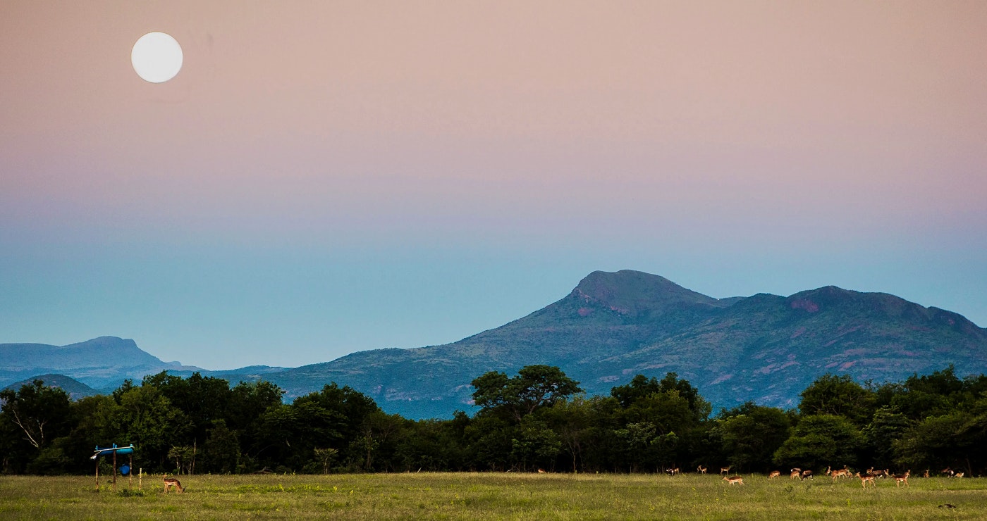 Afgeleë Bosveldwegbreke vir groepe