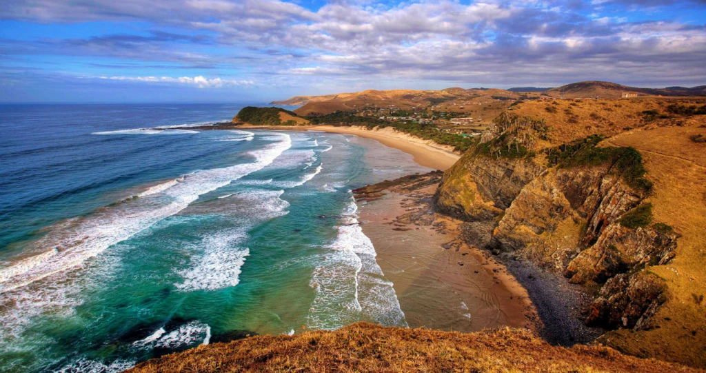 Wenke om die wonderlike Wildekus te tem