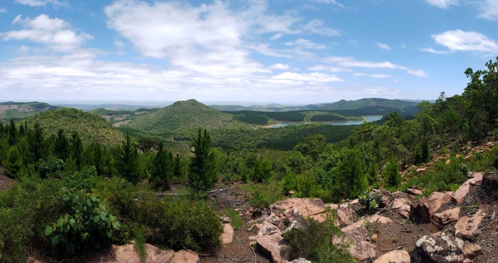 Suid-Afrikaanse woude om in die winter te verken
