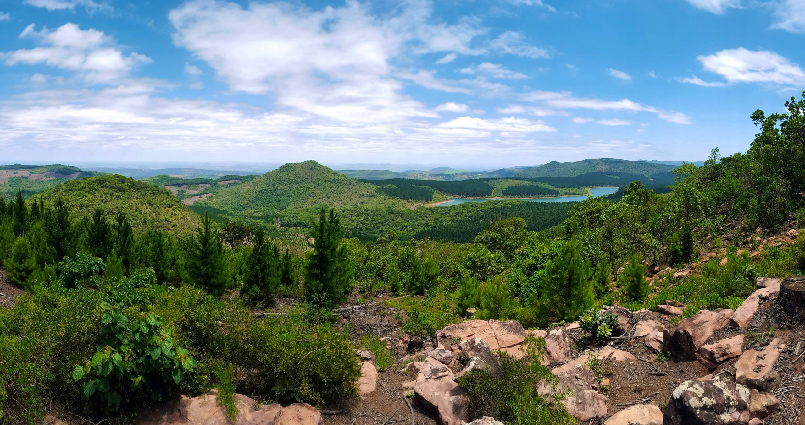 Suid-Afrikaanse woude om in die winter te verken