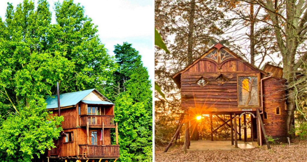 Sycamore Avenue Treehouse Accommodation