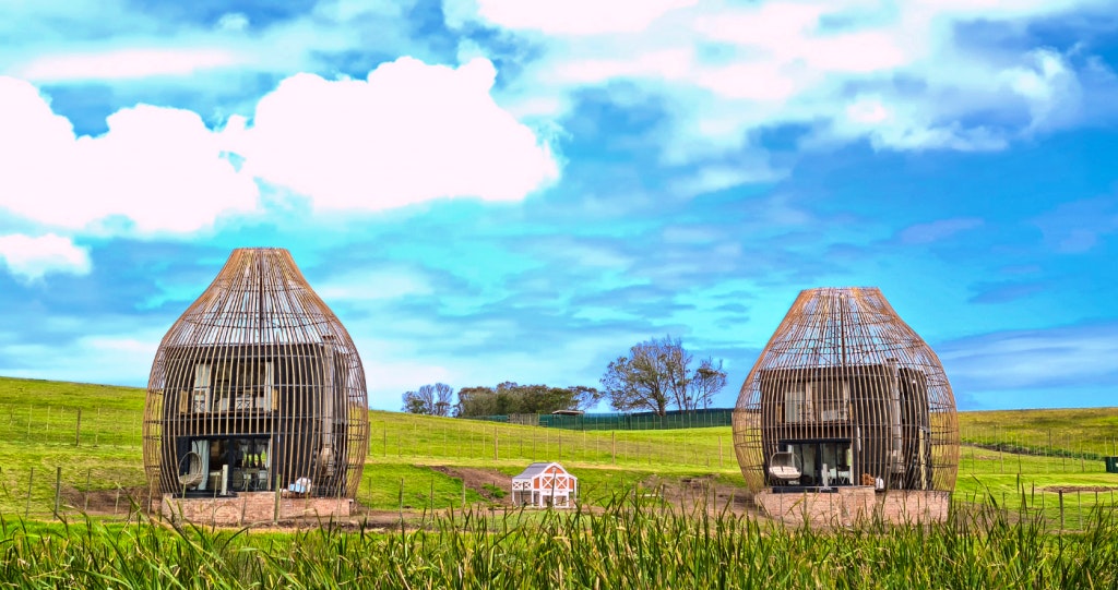 Buff and Fellow Eco Cabins