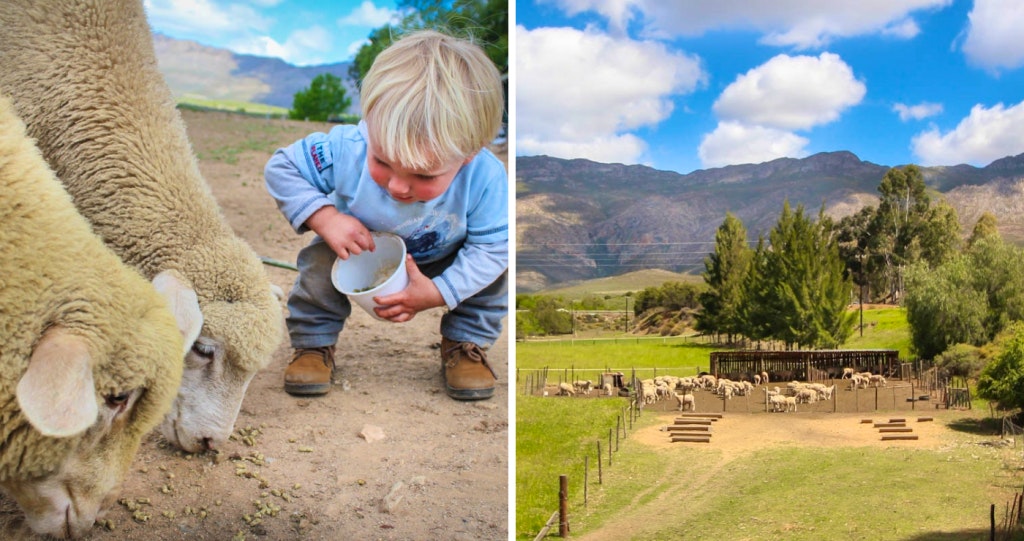 Glen Eden Farm Guest Cottages