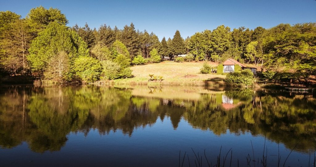 Magoebaskloof stay in Limpopo