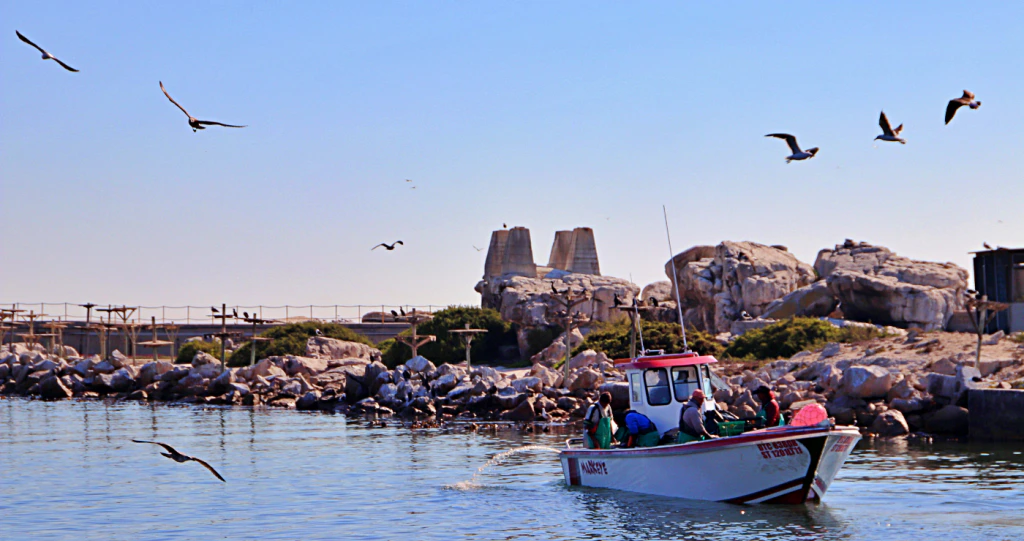 Lambertsbaai: die kuns-, kos- kultuur- en kurio-mekka aan die Weskus