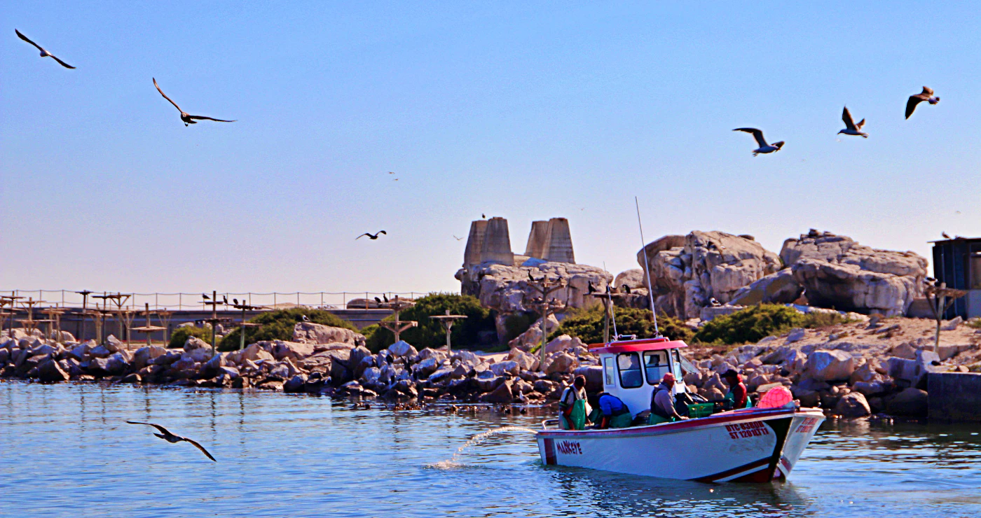 Lambertsbaai: die kuns-, kos- kultuur- en kurio-mekka aan die Weskus