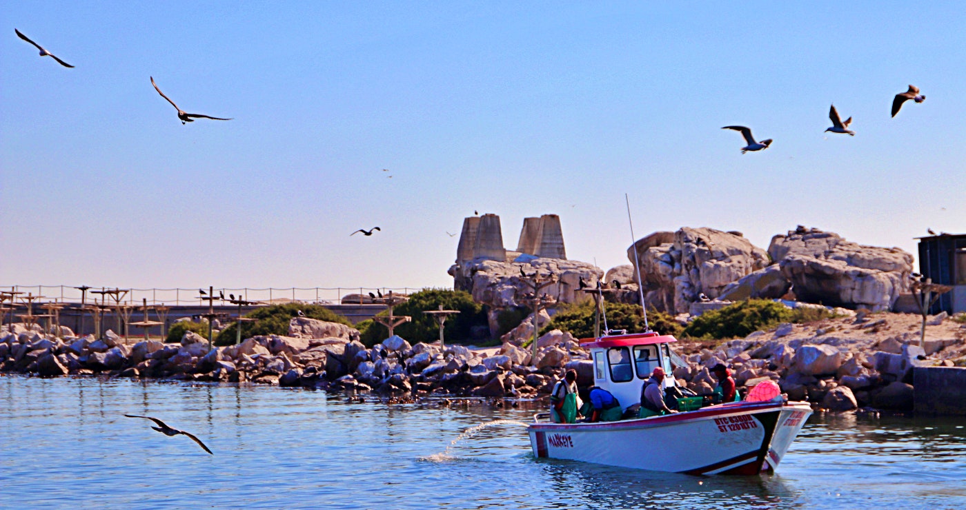 Lambertsbaai: die kuns-, kos- kultuur- en kurio-mekka aan die Weskus