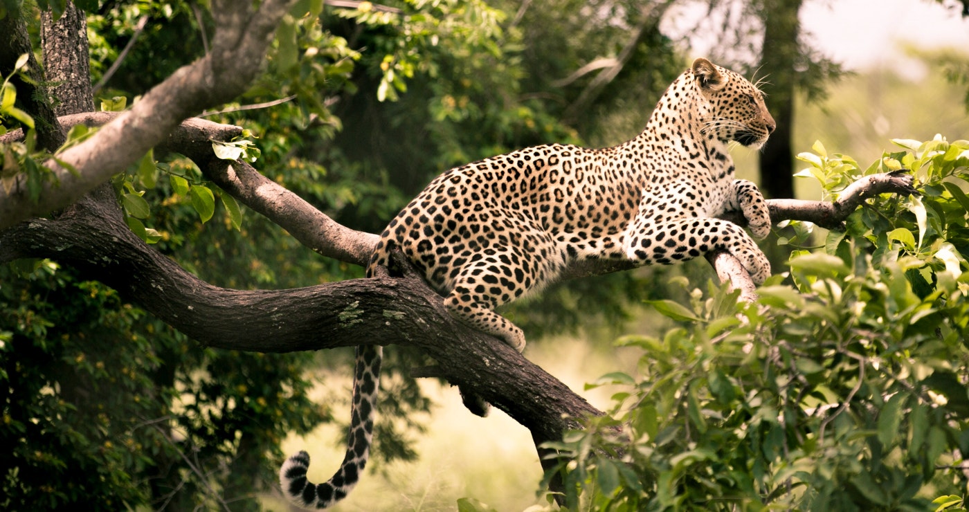 Hiér kan jy op Groot Vyf-avonture gaan