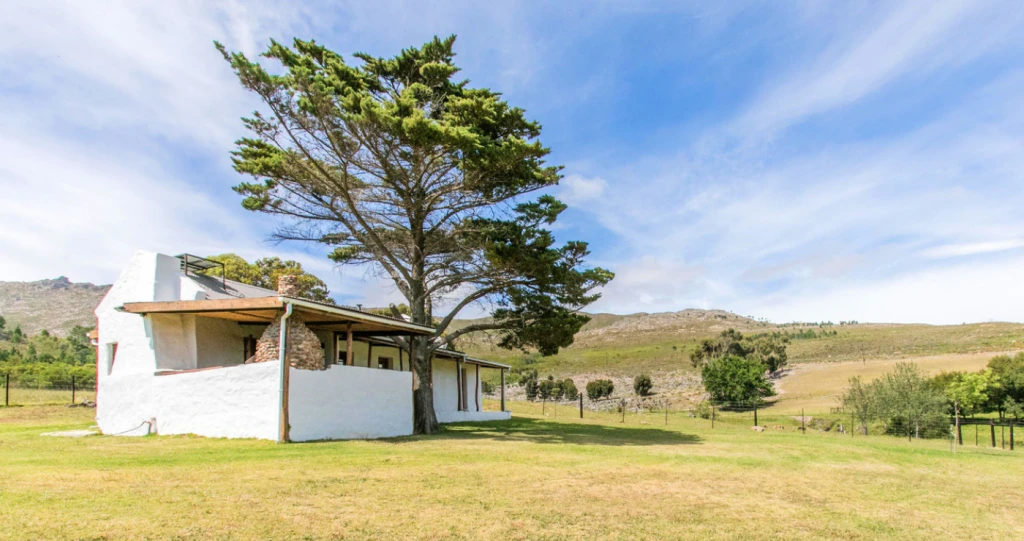 Escape the city for less