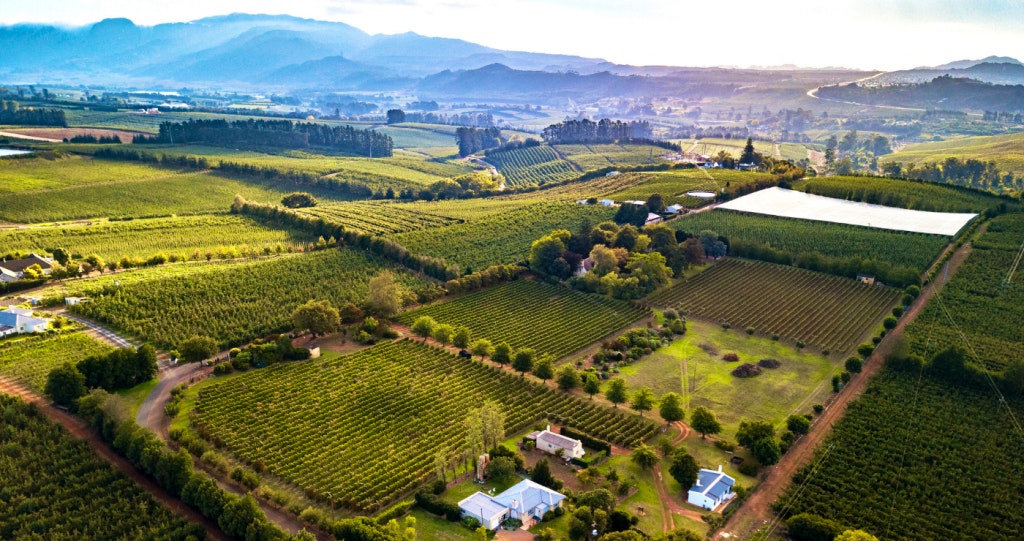 Belfield Wines and Farm Cottages elgin grabouw