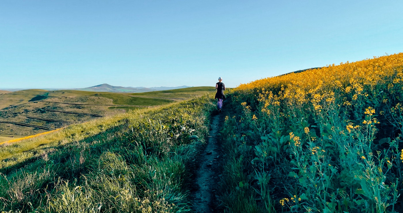 9 velddrafroetes in die Wes-Kaap