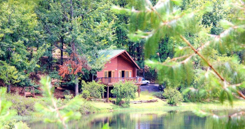 15 Forest Stays For You