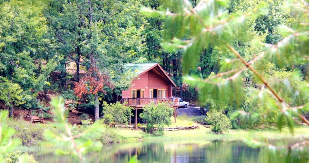 15 Forest Stays For You