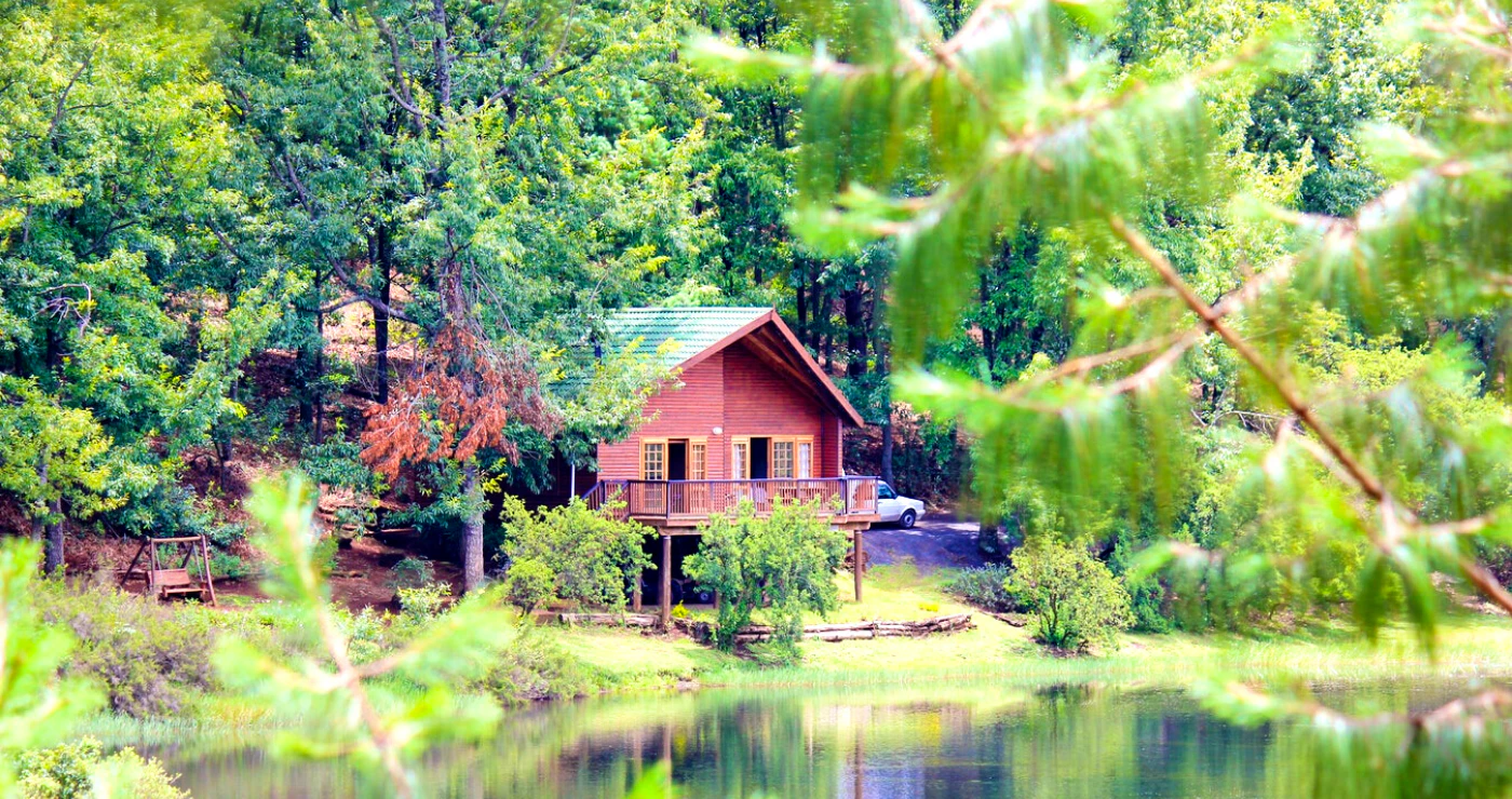 15 Forest Stays For You