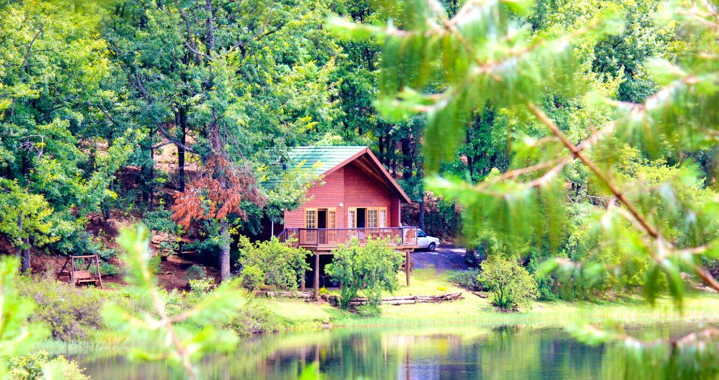 15 Forest Stays For You