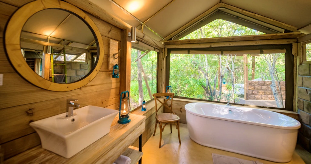 Bundox Safari Lodge hoedspruit wildlife accommodation lekker slaap lekkeslaap wildkyk limpopo glamping Guernsey Kruger Panoramaroete Blyderivier
