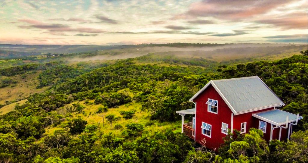 Wittebrood_Heartwood Homestead