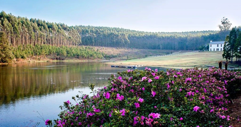 Naweekdorpies naby Gauteng