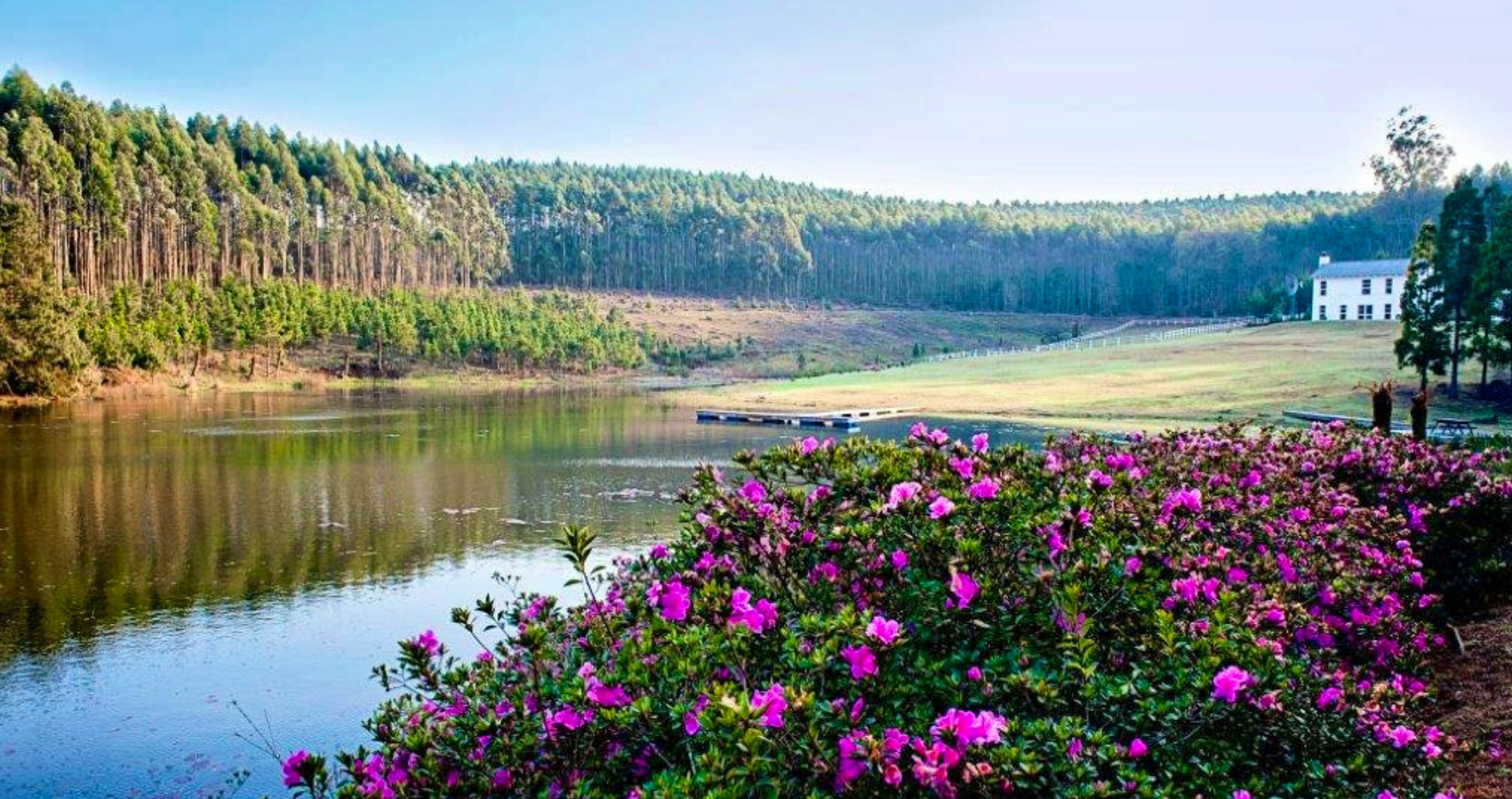 Naweekdorpies naby Gauteng