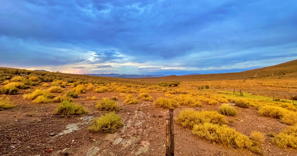 Desert Wind Private Guest and Game Farm: Breek weg naby Kaapstad