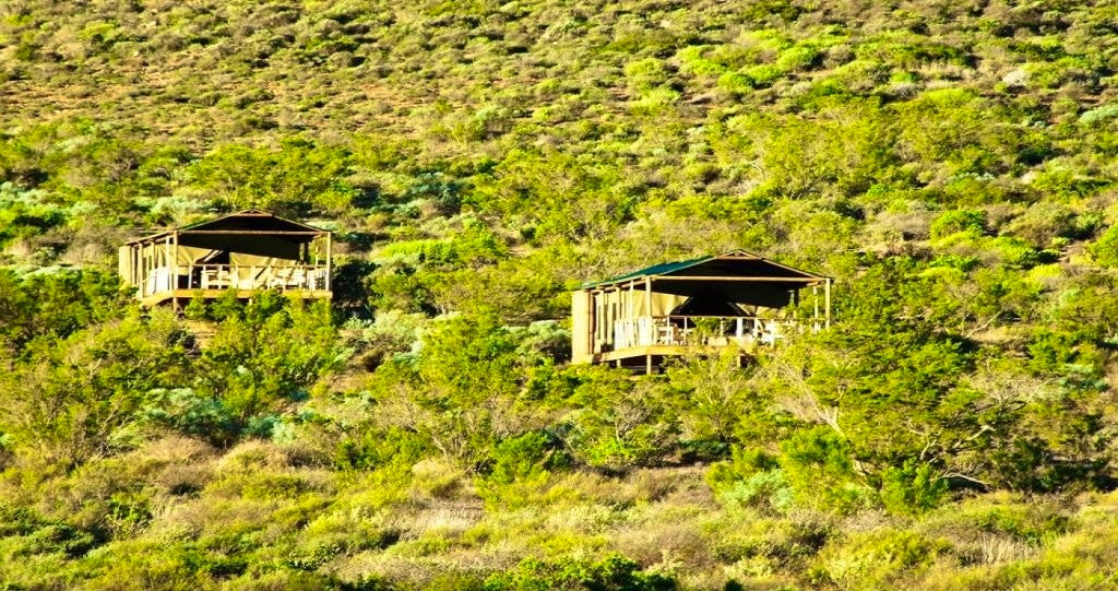10 Tranquil Tented Camps_Agama-Tented-Camp