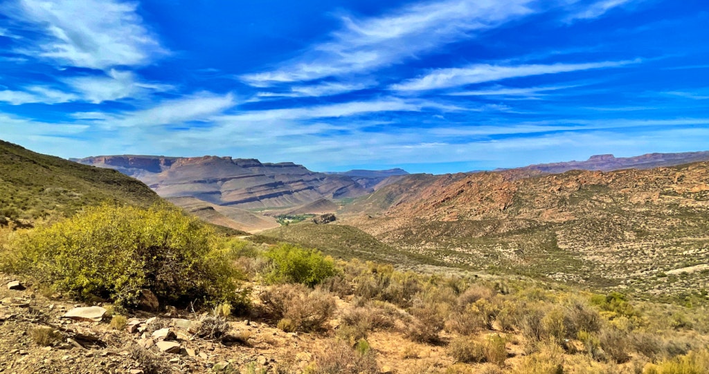 Biedouw Valley Biedouwvallei Clanwilliam Cederberg Flower Season