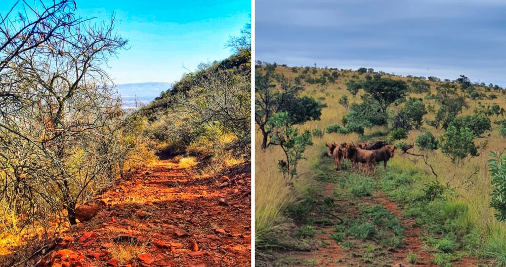 Sable Ranch hiking