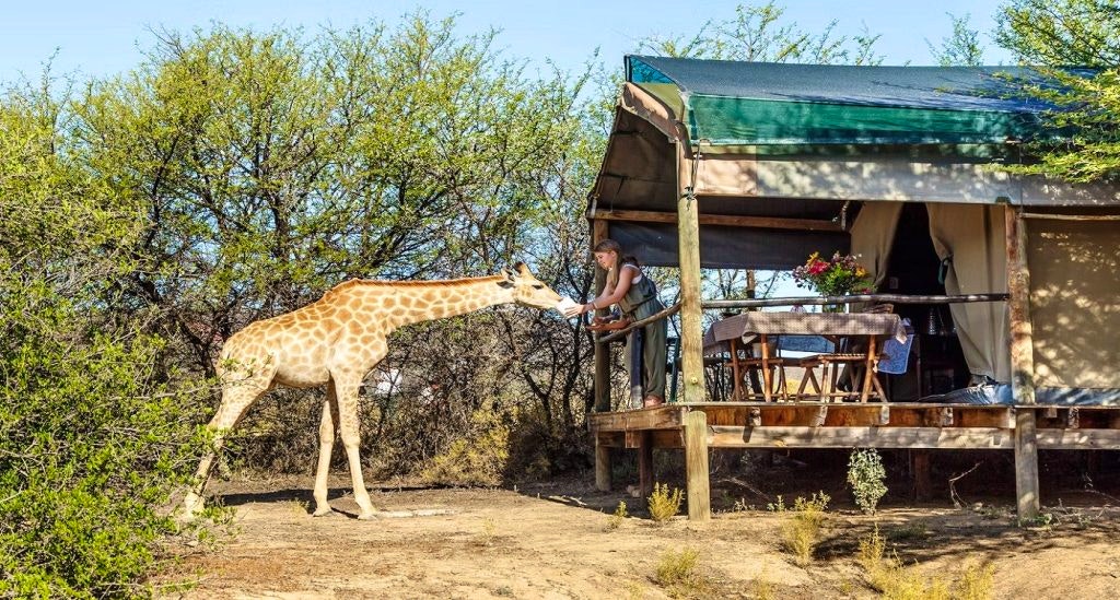 Chandelier Game Lodge & Ostrich Show Farm