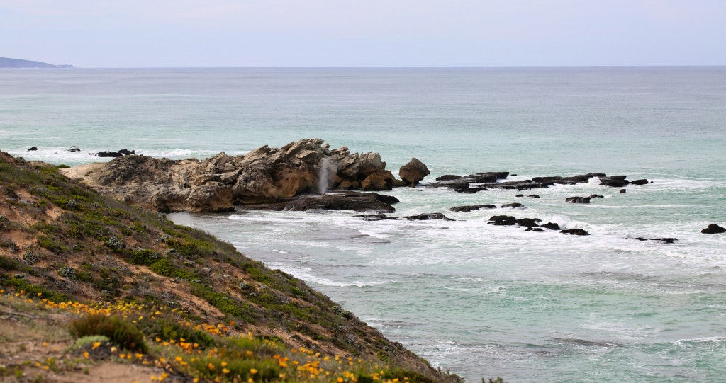 whale trail, de hoop nature reserve, de hoop nature reserve lekkeslaap, de hoop nature reserve hike