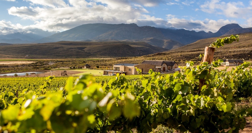 Kom proe wyn en slaap oor